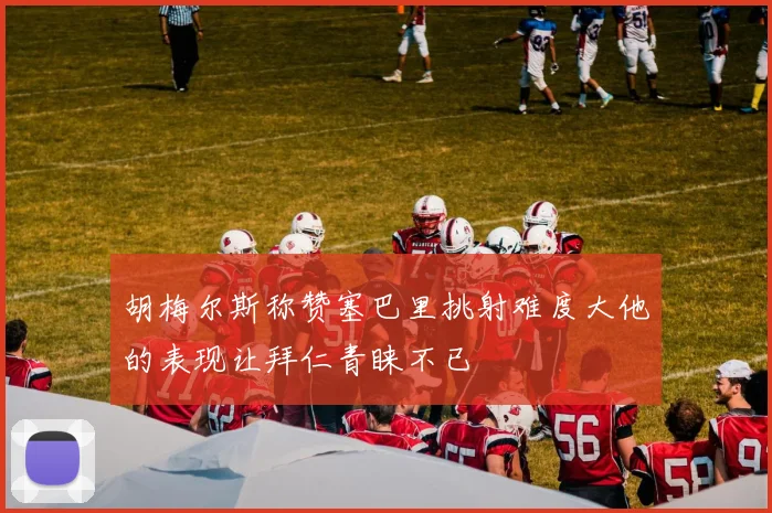 胡梅尔斯称赞塞巴里挑射难度大他的表现让拜仁青睐不已